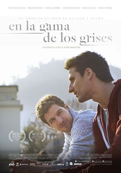 Gay Movie : EN LA GAMA DE LOS GRISES 2015