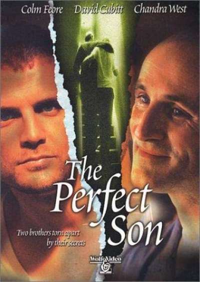 Gay Movie : THE PERFECT SON 2000